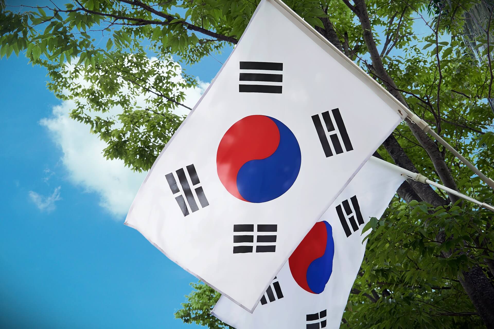 the korean flag